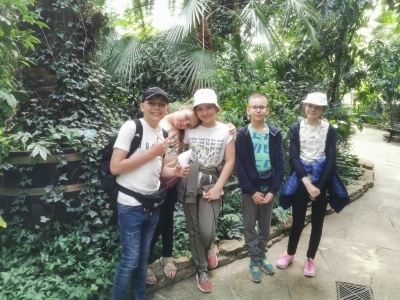  (photo)