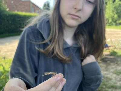  (photo)