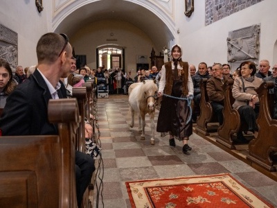 (photo)