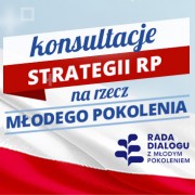 Konsultacje 'Strategii RP na rzecz Młodego Pokolenia' w województwie wielkopolskim – 16 listopada 2021